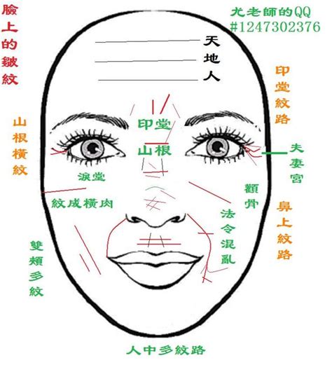 臉上紋路 面相